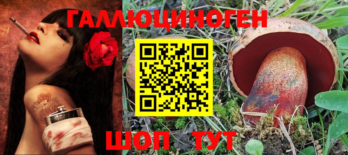 Галлюциногенные грибы Psilocybine cubensis Соликамск