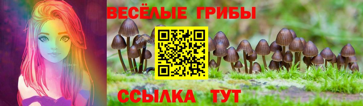 Псилоцибиновые грибы мухоморы  Вход с VPN  что такое наркотик  Соликамск  Галлюциногенные грибы Cubensis 